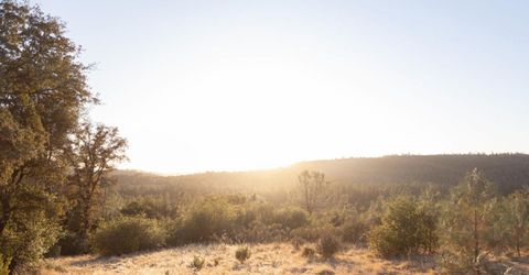 12071 Birchville Rd, Nevada City, CA 95959 Photo