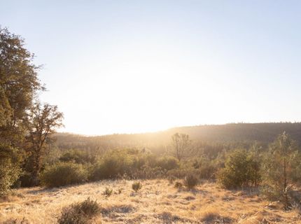12071 Birchville Rd, Nevada City, CA 95959 Photo