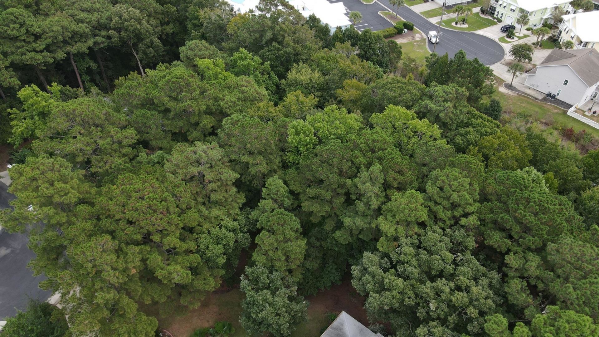 1282 Strathmill Ct.  Photo 8
