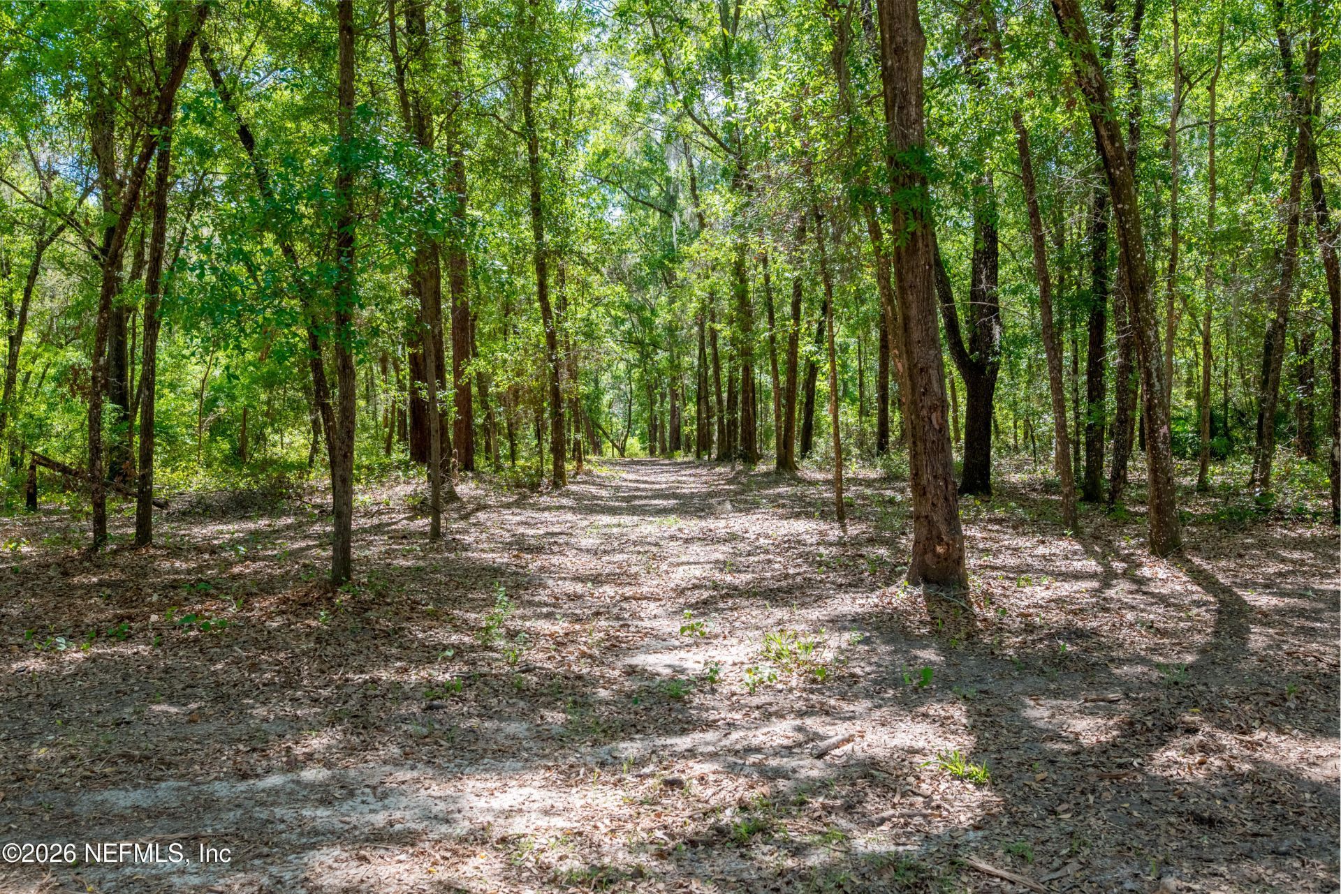 4940 Devils Den Road, Keystone Heights, FL 32656 Photo