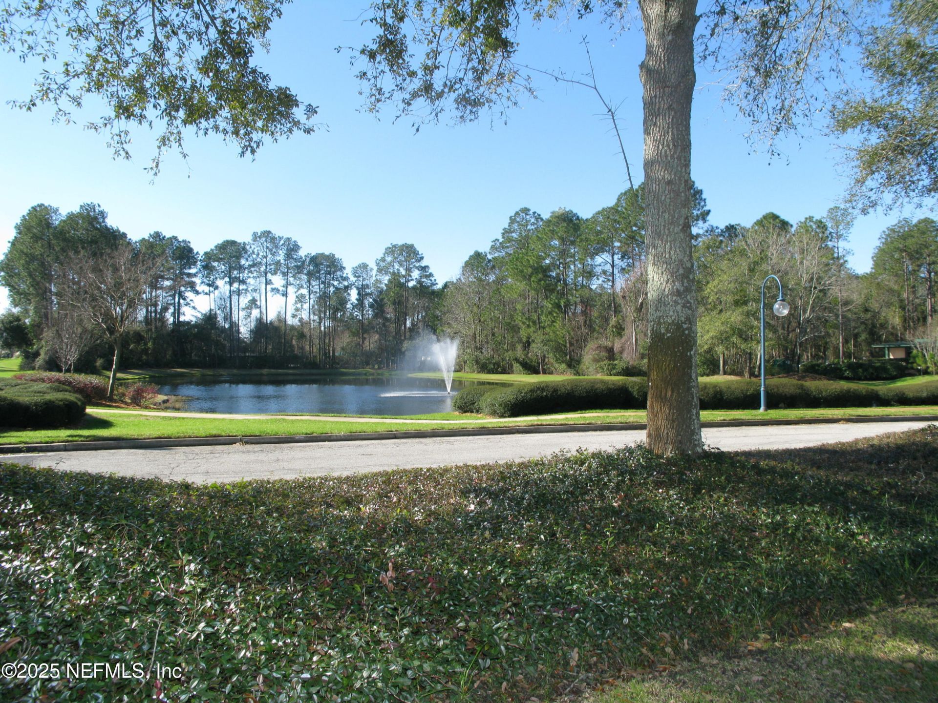 1900 Fox Glove Lane, Fleming Island, FL 32003 Photo