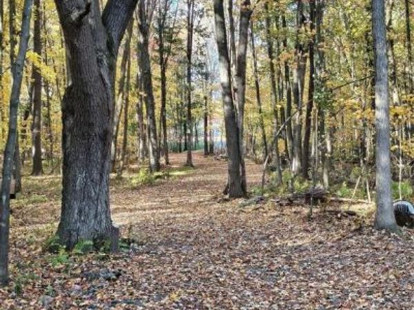 2541 County Hwy D, Boyd, WI 54726
