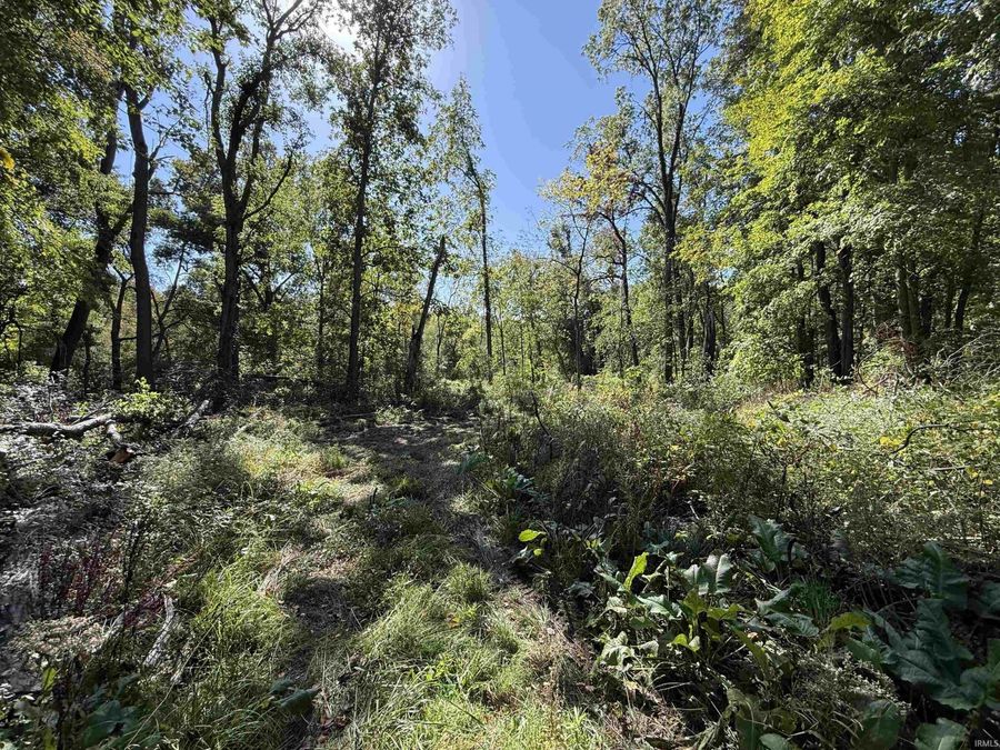 Property Image 36