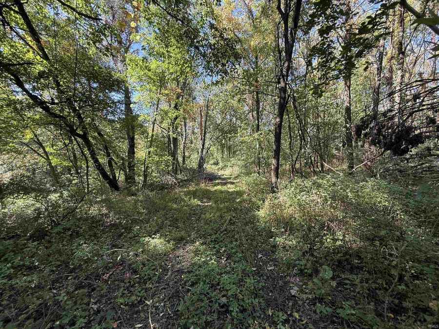 Property Image 38