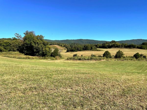 2233 Rutledge Pike, Blaine, TN 37709