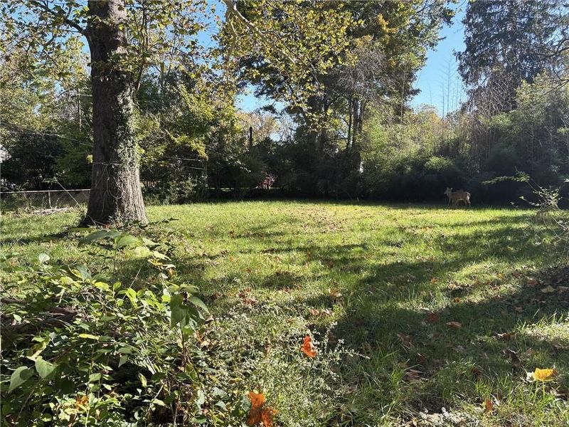419 N Stafford Street, Yellow Springs, OH 45387 Photo 26