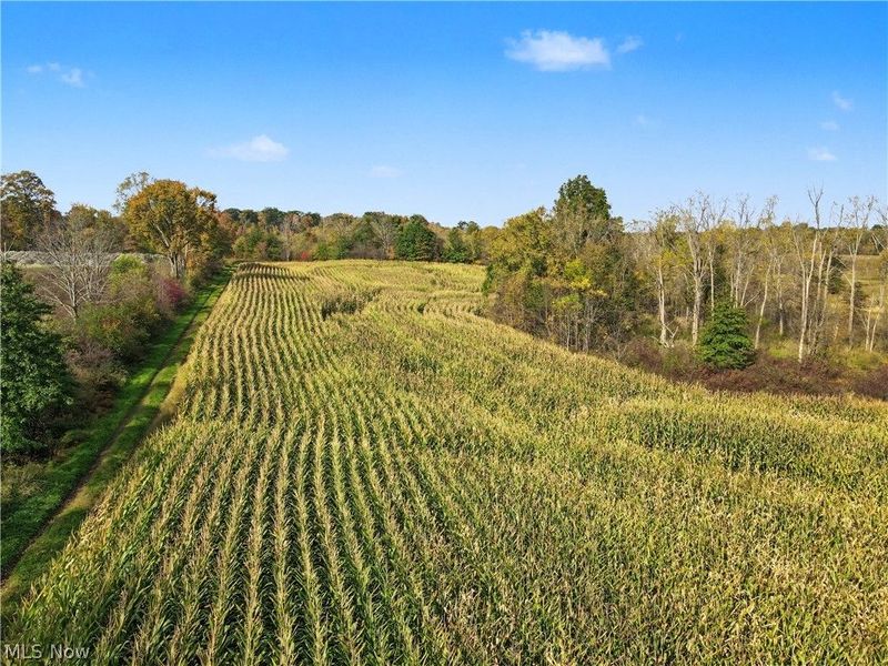 3167 State Route 225, Diamond, OH 44412 Photo 10