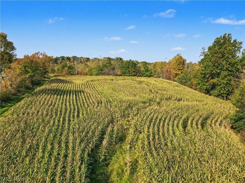 3167 State Route 225, Diamond, OH 44412 Photo 11