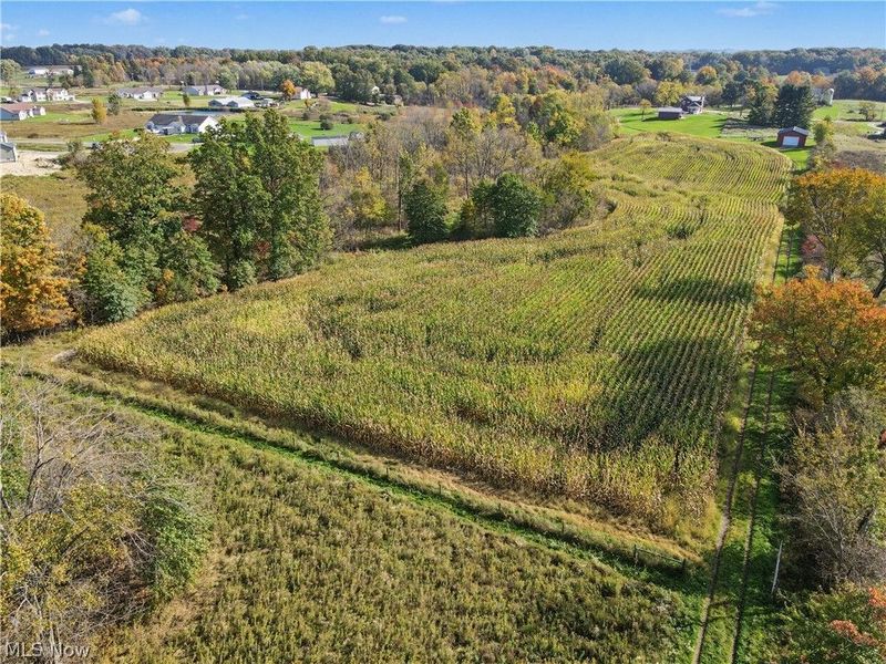 3167 State Route 225, Diamond, OH 44412 Photo 12