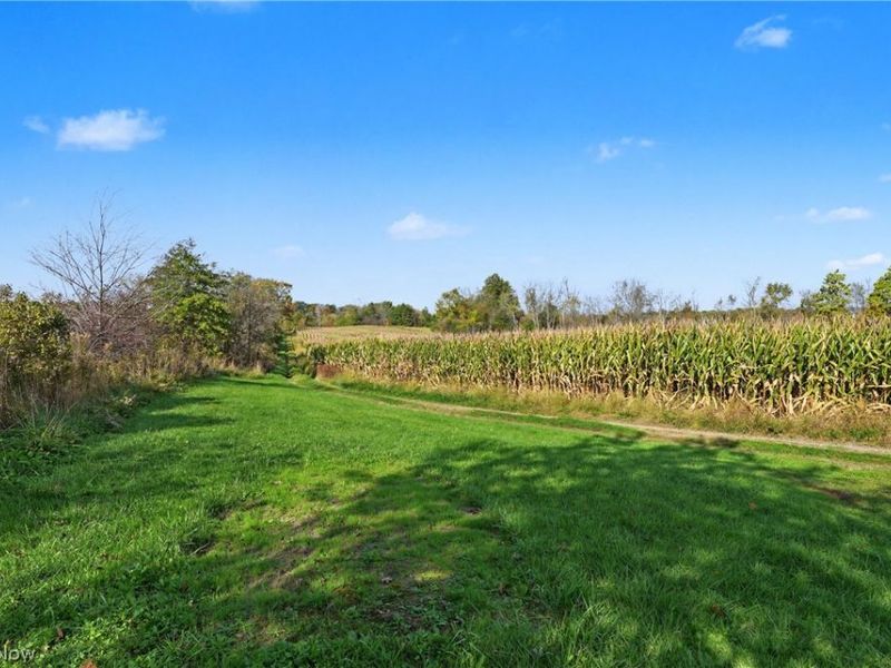 3167 State Route 225, Diamond, OH 44412 Photo 22