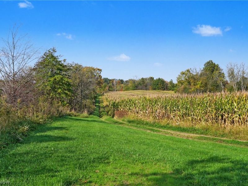3167 State Route 225, Diamond, OH 44412 Photo 23