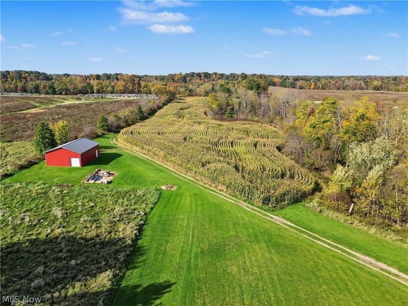3167 State Route 225, Diamond, OH 44412 Photo 7