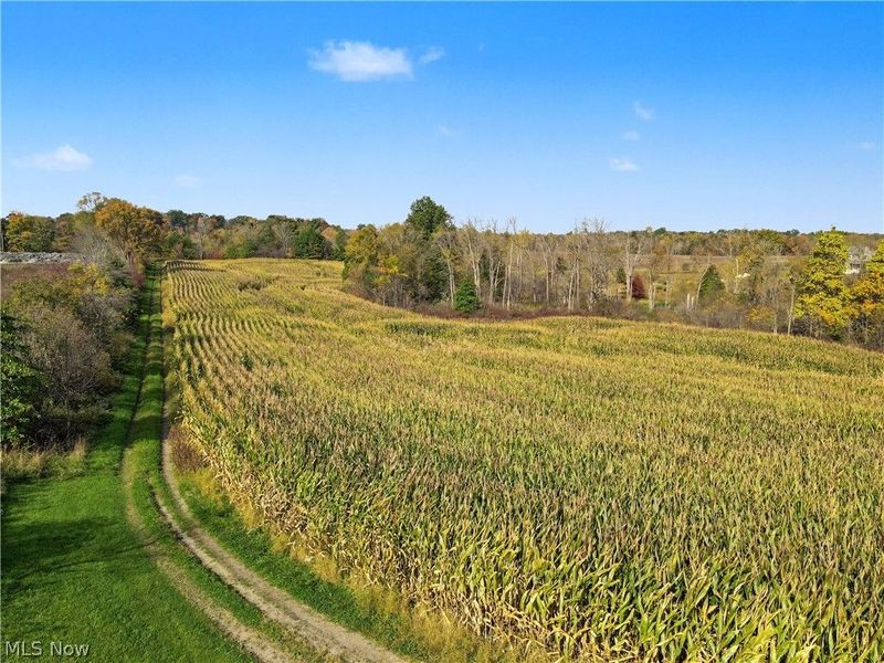 3167 State Route 225, Diamond, OH 44412 Photo 9