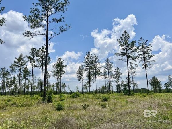 0 County Rd 64, Robertsdale, AL 36567