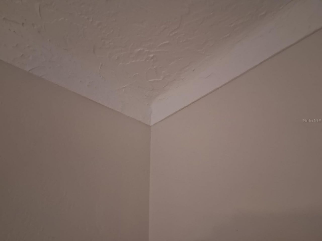 8220 Yardley Avenue N, Saint Petersburg, FL 33710 Photo