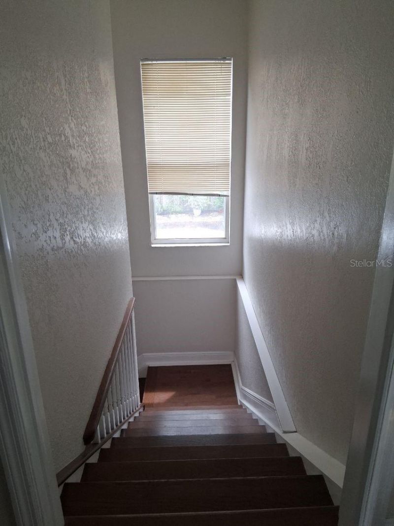 8220 Yardley Avenue N, Saint Petersburg, FL 33710 Photo