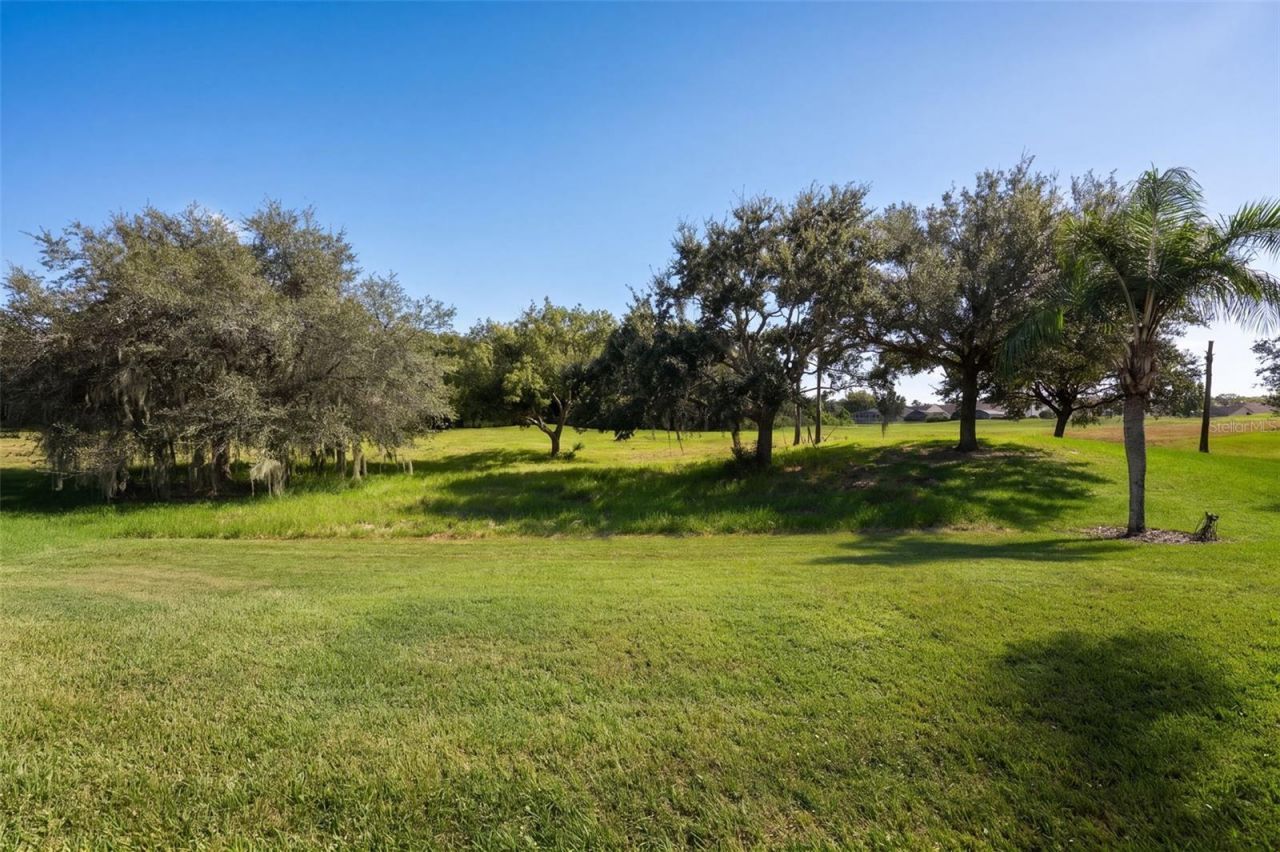 14542 Riviera Pointe Drive, Orlando, FL 32828 Photo
