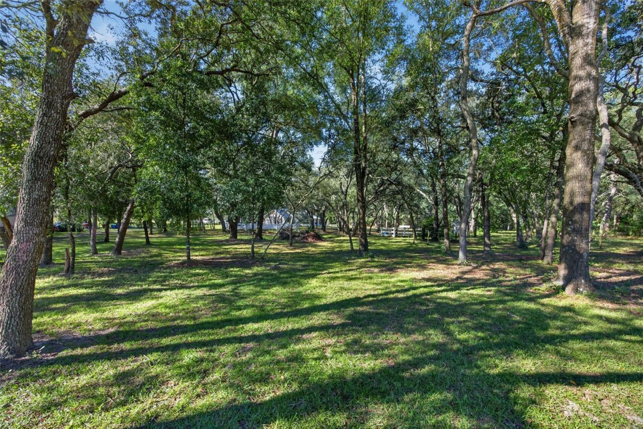 2702 E Possum Court, Inverness, FL 34452 Photo
