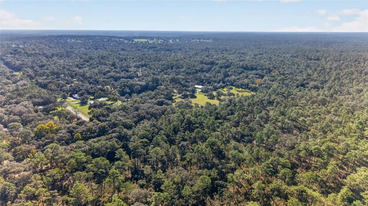2702 E Possum Court, Inverness, FL 34452 Photo