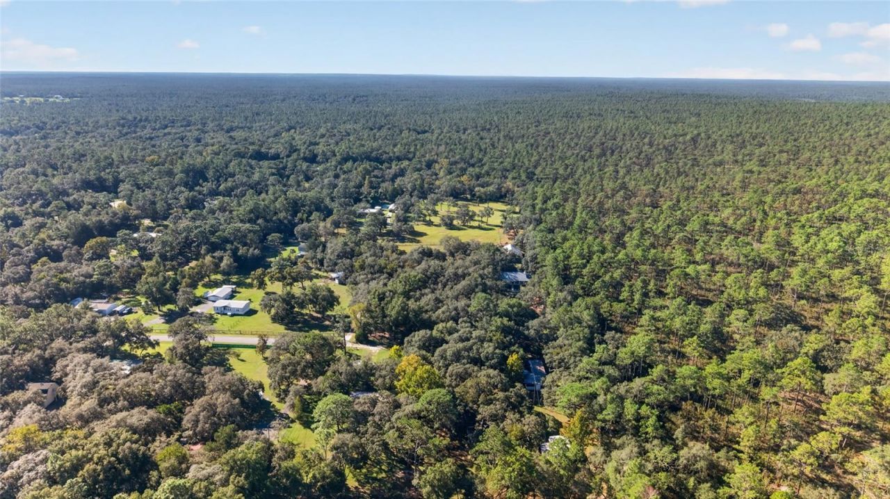 2702 E Possum Court, Inverness, FL 34452 Photo