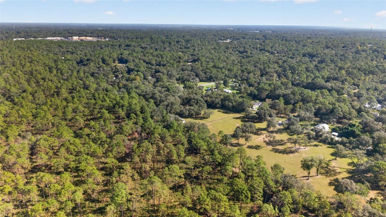 2702 E Possum Court, Inverness, FL 34452 Photo
