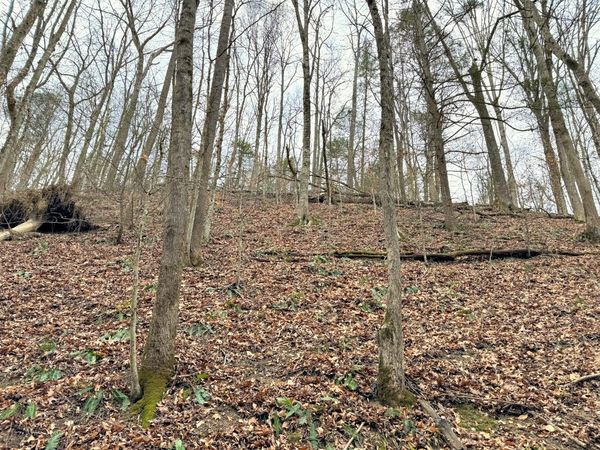 520 Johnny Carrier Hollow Rd , Bluff City, TN 37618