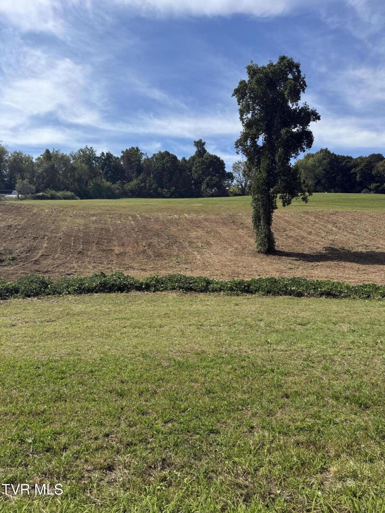 Tbd Mt Carmel Road, Mosheim, TN 37818 Main Photo