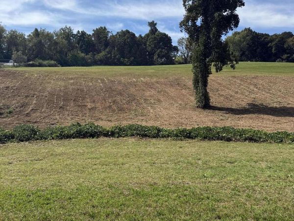 Tbd Mt Carmel Road, Mosheim, TN 37818