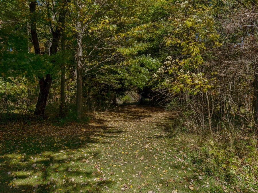 Property Image 60
