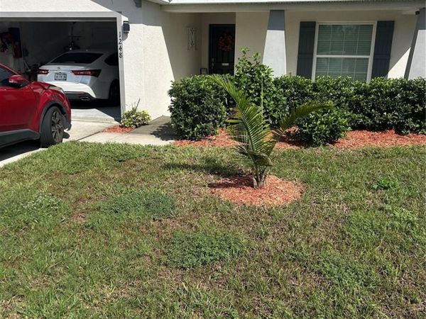1248 MOUNTAIN FLOWER LANE , DAVENPORT, FL 33837