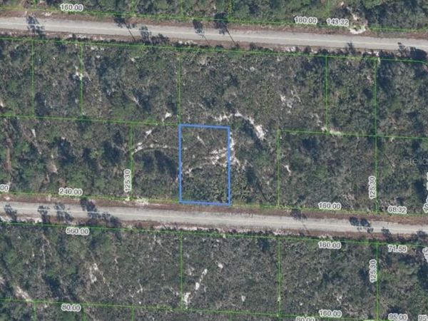 3509 SPOONBILL AVENUE , LAKE PLACID, FL 33852