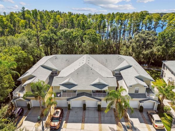 1627 HAMMOCKS AVENUE, LUTZ, FL 33549