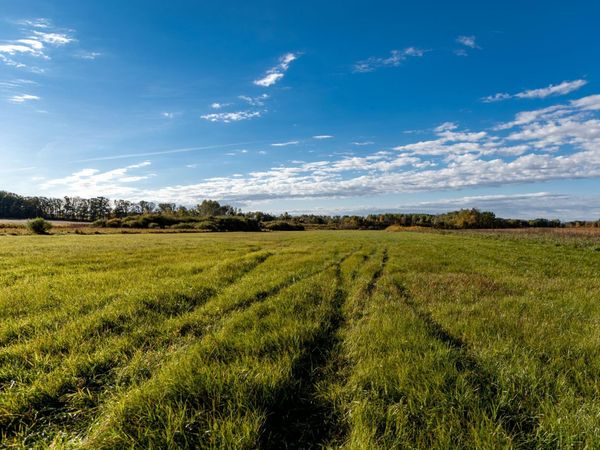 TBD 231st Avenue , Browerville, MN 56438