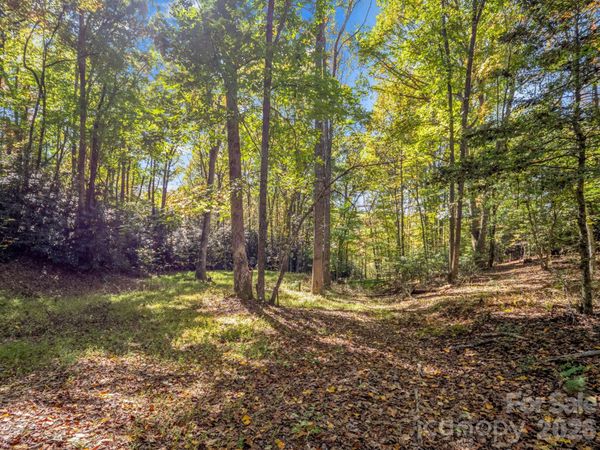 396 Patton Mountain Road , Pisgah Forest, NC 28768