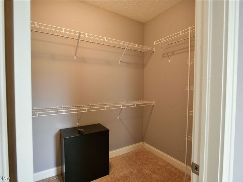 4928 Avery Way, Ridgeville, OH 44039 Photo 18
