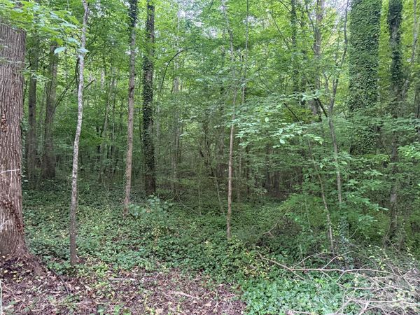 00 Winterhaven Road Road , Taylorsville, NC 28681