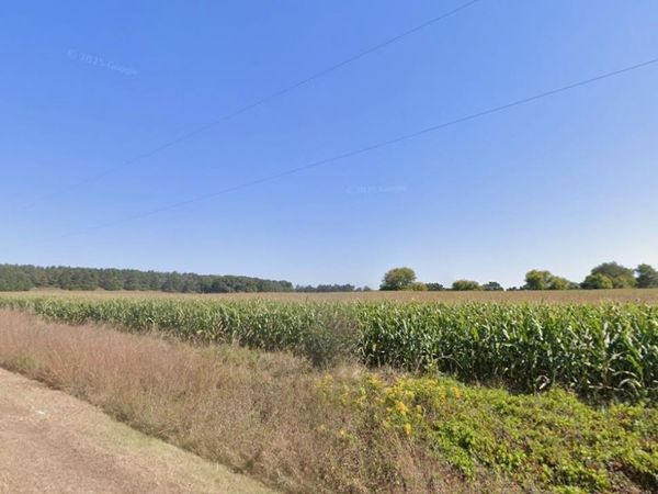 38 Acres Traut Road, Rio, WI 53960