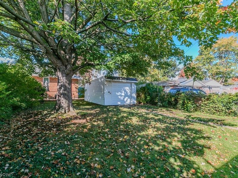 4038 W 140th Street, Cleveland, OH 44135 Photo 43