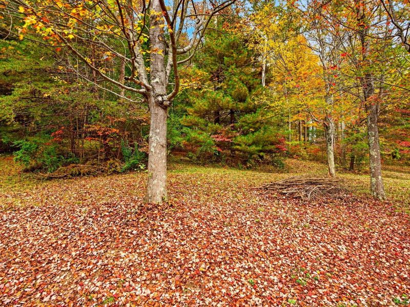 25068 State Route 180 , Rockbridge, OH 43149 Photo 25