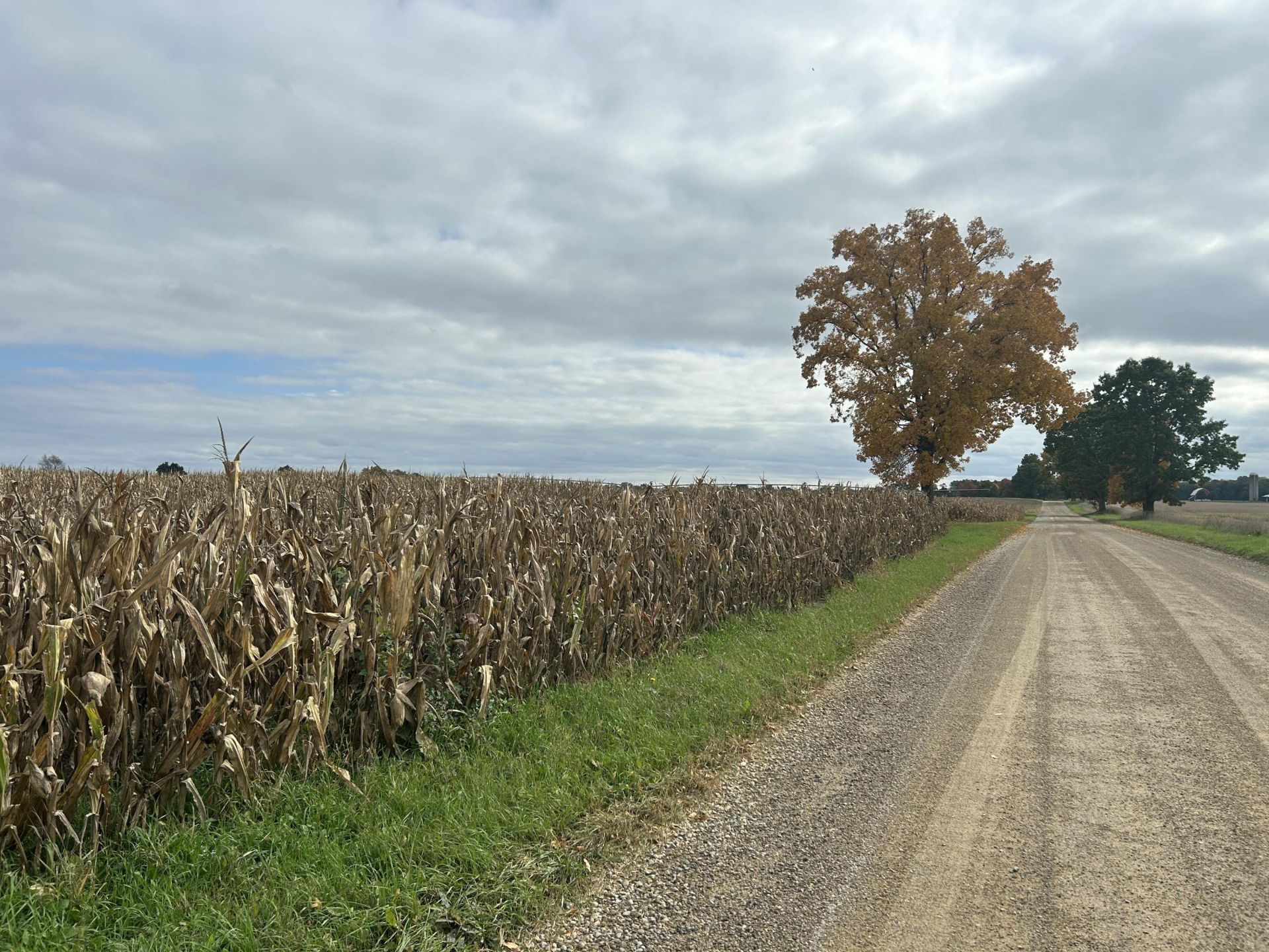 Noonan Road, Hickory Corners, MI 49060 Main Photo
