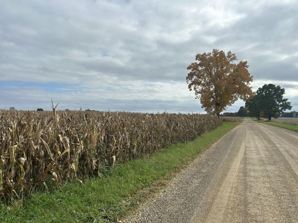 Noonan Road, Hickory Corners, MI 49060