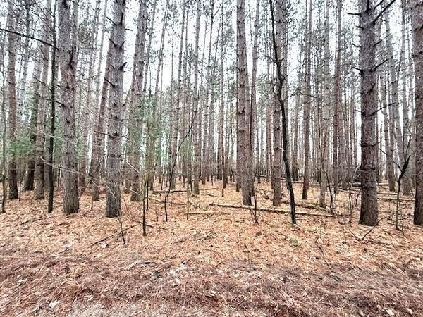 LAKE TERRACE DRIVE, Ogdensburg, WI 54962