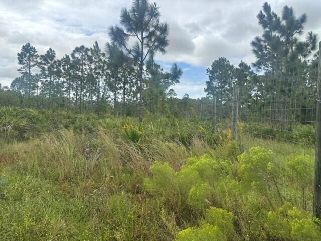 0 Kenansville, Okeechobee, FL 34739 Photo