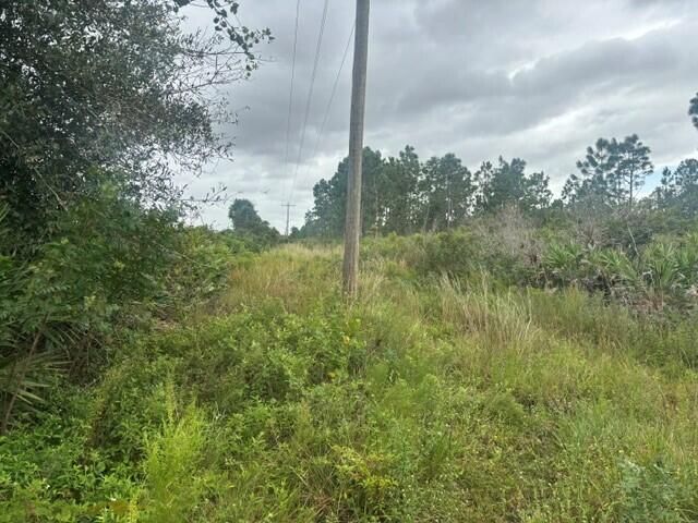0 Kenansville, Okeechobee, FL 34739 Photo