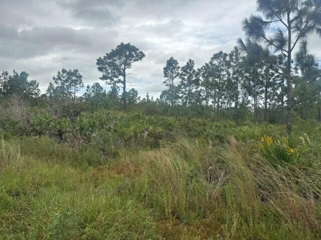 0 Kenansville, Okeechobee, FL 34739 Photo