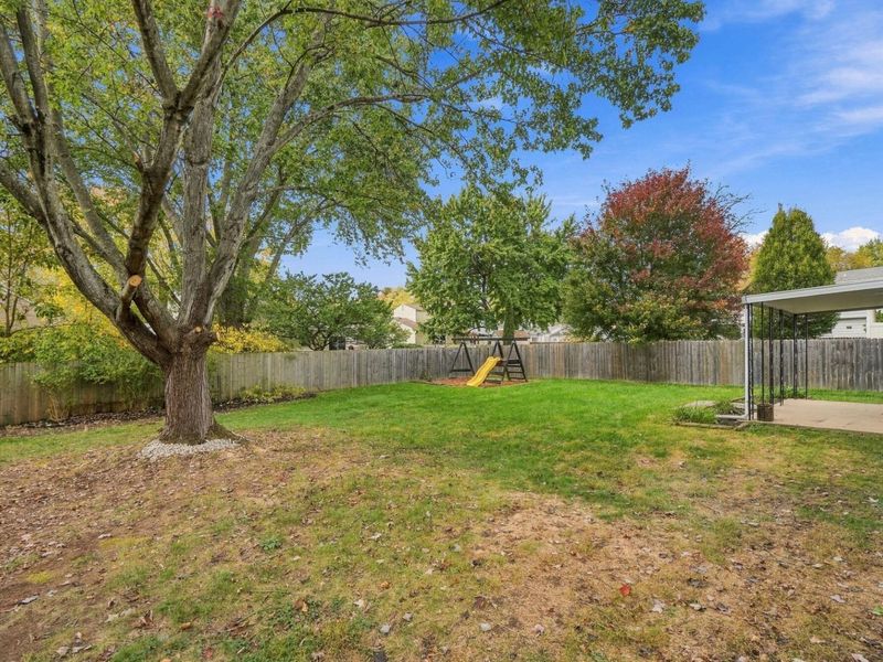 4455 Bitterroot Drive, Westerville, OH 43081 Photo 48