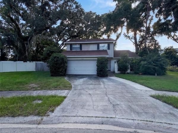 14714 OAK VINE DRIVE , LUTZ, FL 33559