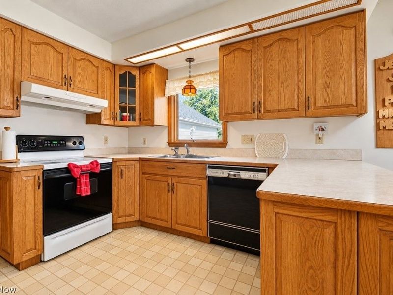 1323 Richmond Road, Lyndhurst, OH 44124 Photo 12