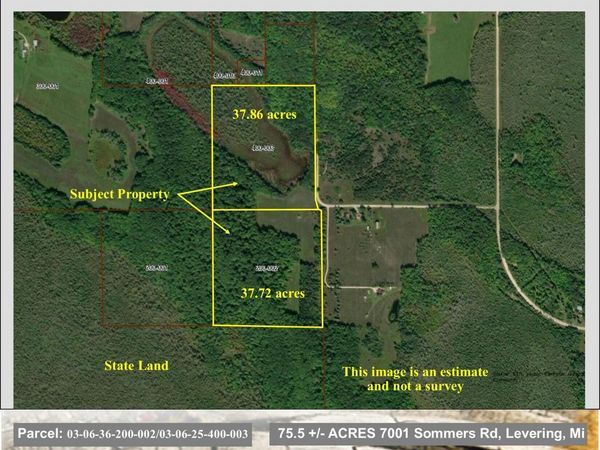 7001 Sommers Road, Levering, MI 49755