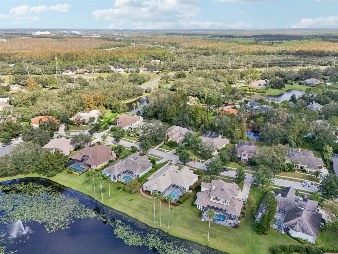 6428 Renwick Circle, Tampa, FL 33647 Photo